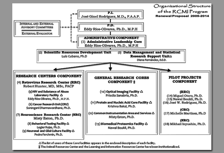 Md Anderson Org Chart