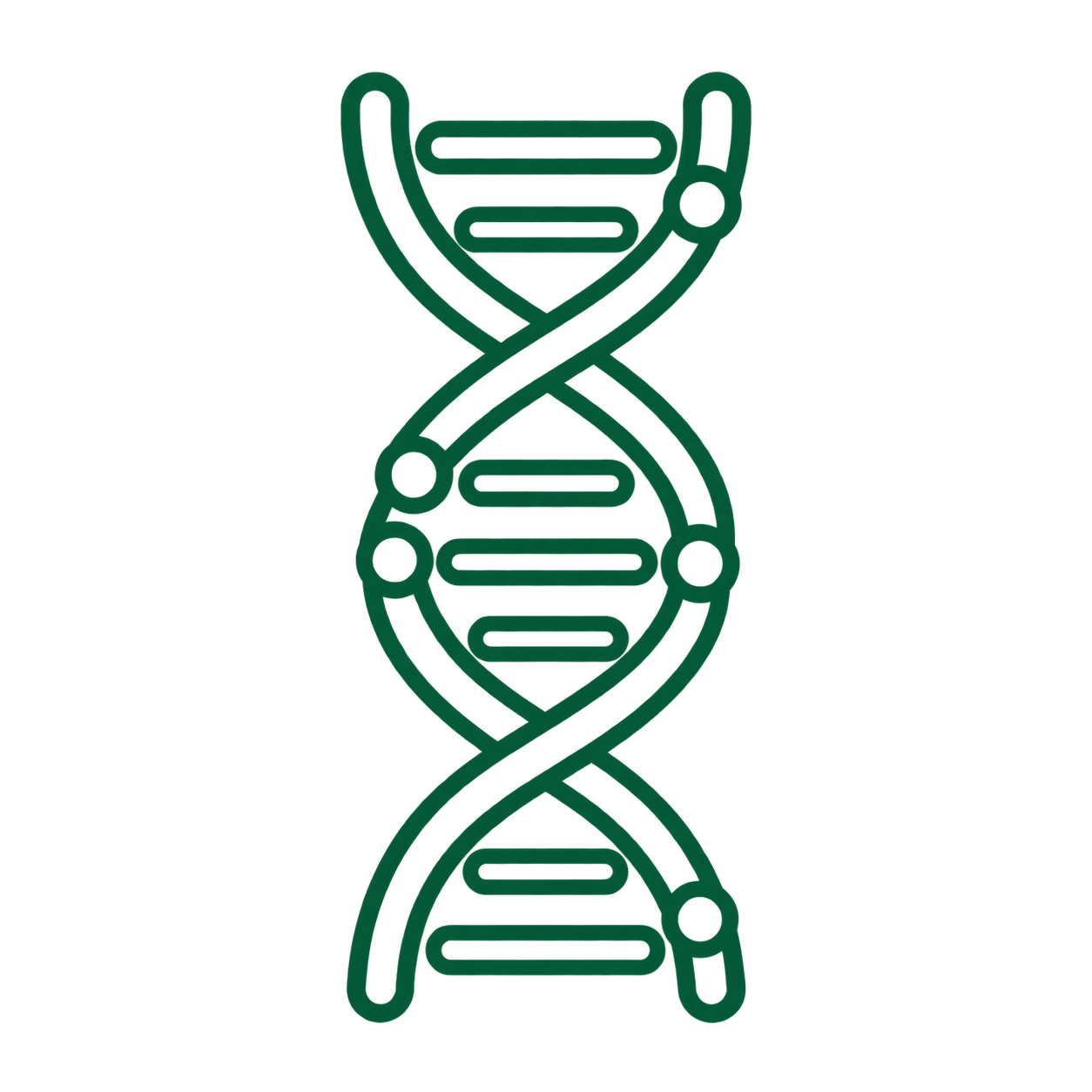 Biomedical Sciences